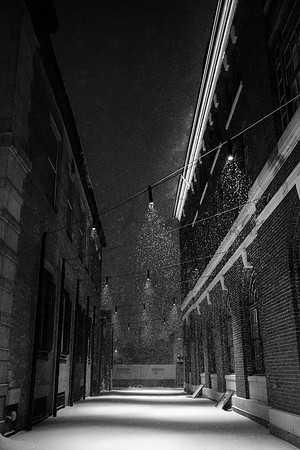 L1008634-Edit-2